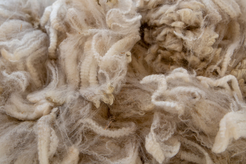 Processes – The Wool Spinners