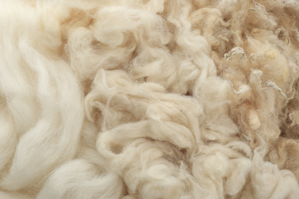 Processes – The Wool Spinners